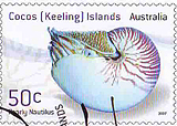 Nautilus Stamp Nautilus Stamp