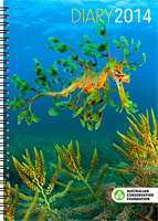 Leafy Seadragon Leafy Seadragon