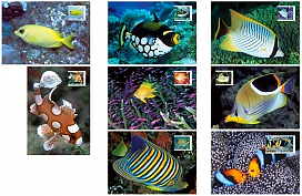 Fishes of the Reef Fishes of the Reef