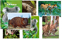 Australian Postcards Australian Postcards