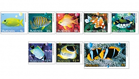 Fishes of the Reef Fishes of the Reef