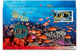 Fishes of the Reef Fishes of the Reef
