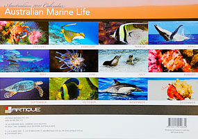 Australian Marine Life Australian Marine Life