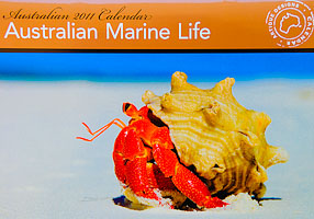 Australian Marine Life Australian Marine Life