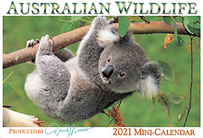 Australian Wildlife Calendar Australian Wildlife Calendar