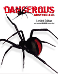 Redback Spider Stamp Redback Spider Stamp