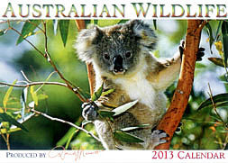 Wildlife Calendar Wildlife Calendar