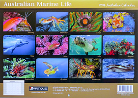 Marine Life Calendar Marine Life Calendar