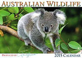 Koala Calendar Koala Calendar