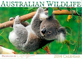 AustralianWildlife Calendar Australian Wildlife Calendar