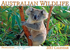 Australian Wildlife Calendar 2017 Australian Wildlife Calendar 2017