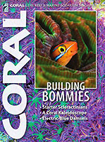 Blennies Blennies