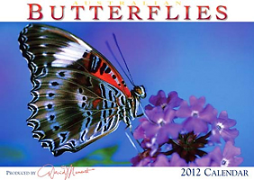 Butterfly Calendar Butterfly Calendar