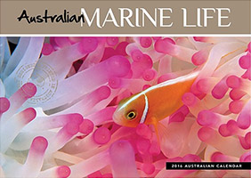 Australian Marine Life Australian Marine Life