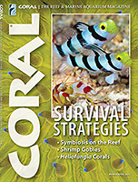 Coral Magazine