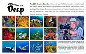 Creation Calendar 2017 Creation Calendar 2017