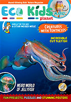 Cuttlefish Cover Magazine Cuttlefish Cover Magazine