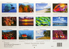 Clownfish Calendar Clownfish Calendar