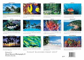 Great Barrier Reef Calendar 2017 Great Barrier Reef Calendar 2017