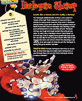 Cousteau Kids Magazine Cousteau Kids Magazine