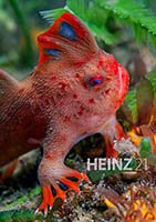 Handfish Heinz Magaine Handfish Heinz Magaine