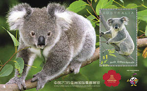 Koala Koala