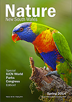 Lorikeet Lorikeet