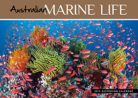 AustralianMarine Life Calendar Australian Marine Life Calendar