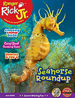 Ranger Rick Seahorse Ranger Rick Seahorse