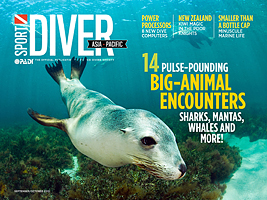 Sport Diver Magazine Cover Sport Diver Magazine Cover