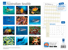 Australian Sealife Calendar Australian Sealife Calendar