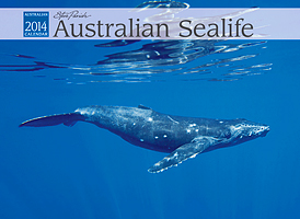 Humpback Whale