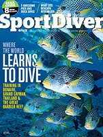 Great Barrier Reef Sweetlips Great Barrier Reef Sweetlips