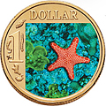 Biscuit Sea Star Coin Biscuit Sea Star Coin