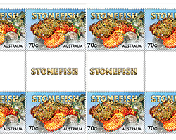 Stonefish Stonefish