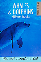 Whales and Dolphins book Whales and Dolphins book