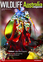 Mantis Shrimp Wildlife Magazine Mantis Shrimp Wildlife Magazine