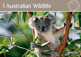 Australian Wildlife Australian Wildlife