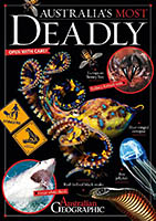 Australia's most deadly animals Australia's most deadly animals