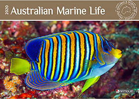 Australian Marine Life Australian Marine Life