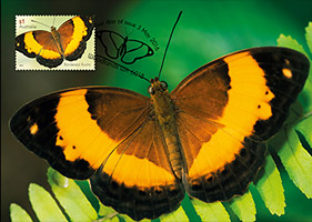 Rustic Butterfly Maxicard Rustic Butterfly Maxicard