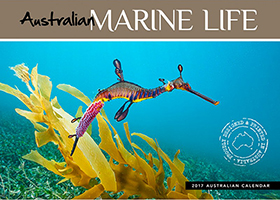 Australia Marine Life Calendar 2017 Australia Marine Life Calendar 2017