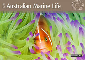 Australian Marine Life Australian Marine Life